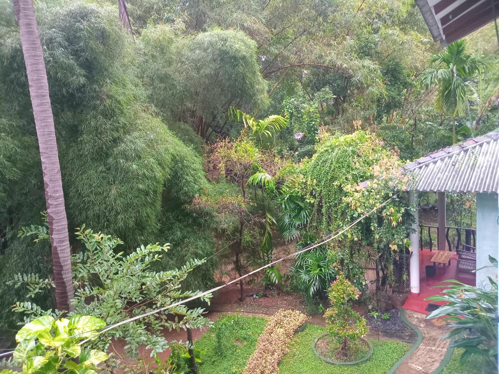 Green Park Safari House & Eco Tree House Uda Walawe Extérieur photo
