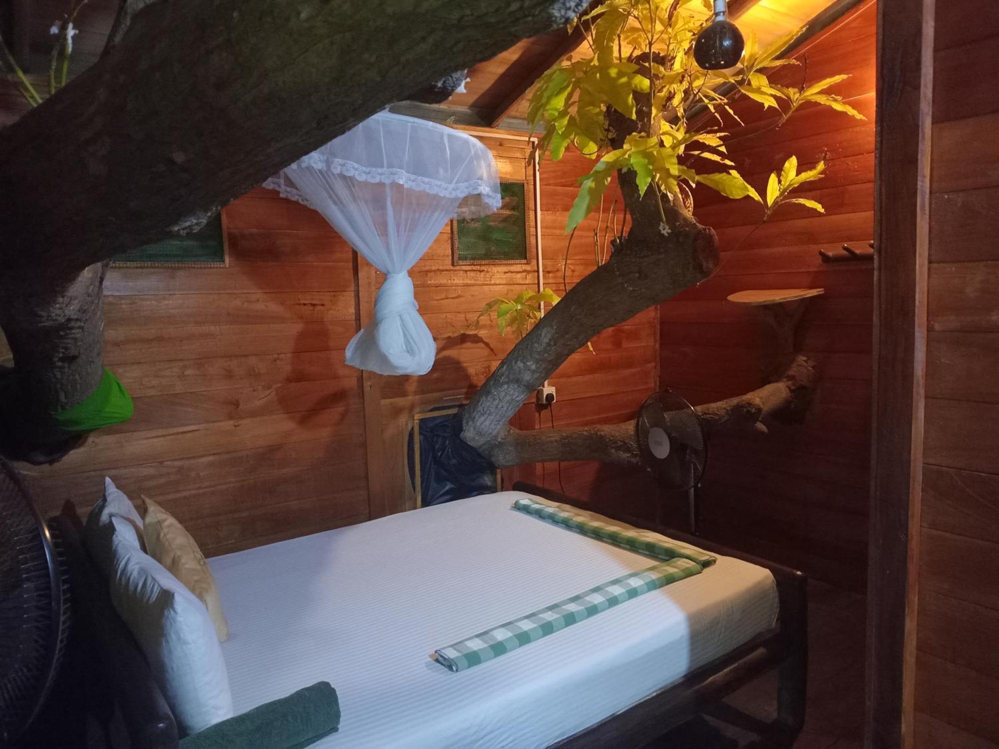 Green Park Safari House & Eco Tree House Uda Walawe Extérieur photo