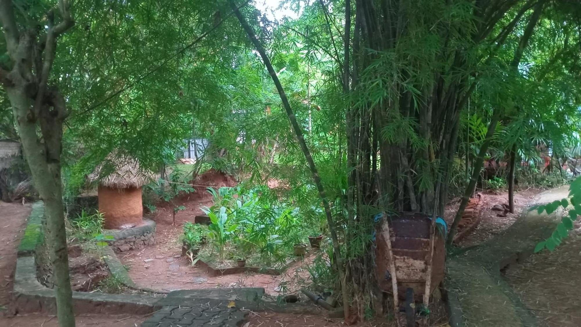 Green Park Safari House & Eco Tree House Uda Walawe Extérieur photo