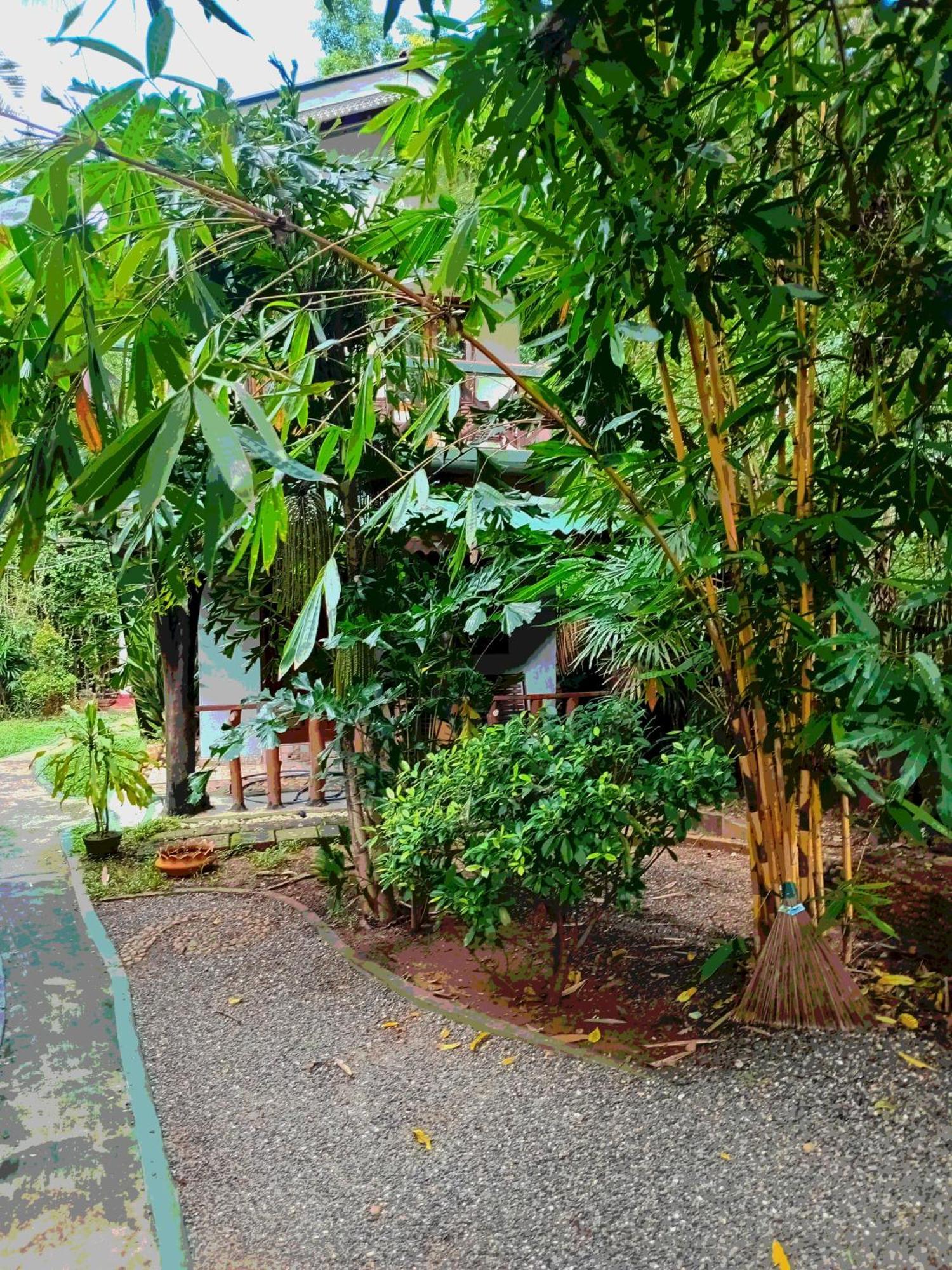 Green Park Safari House & Eco Tree House Uda Walawe Extérieur photo